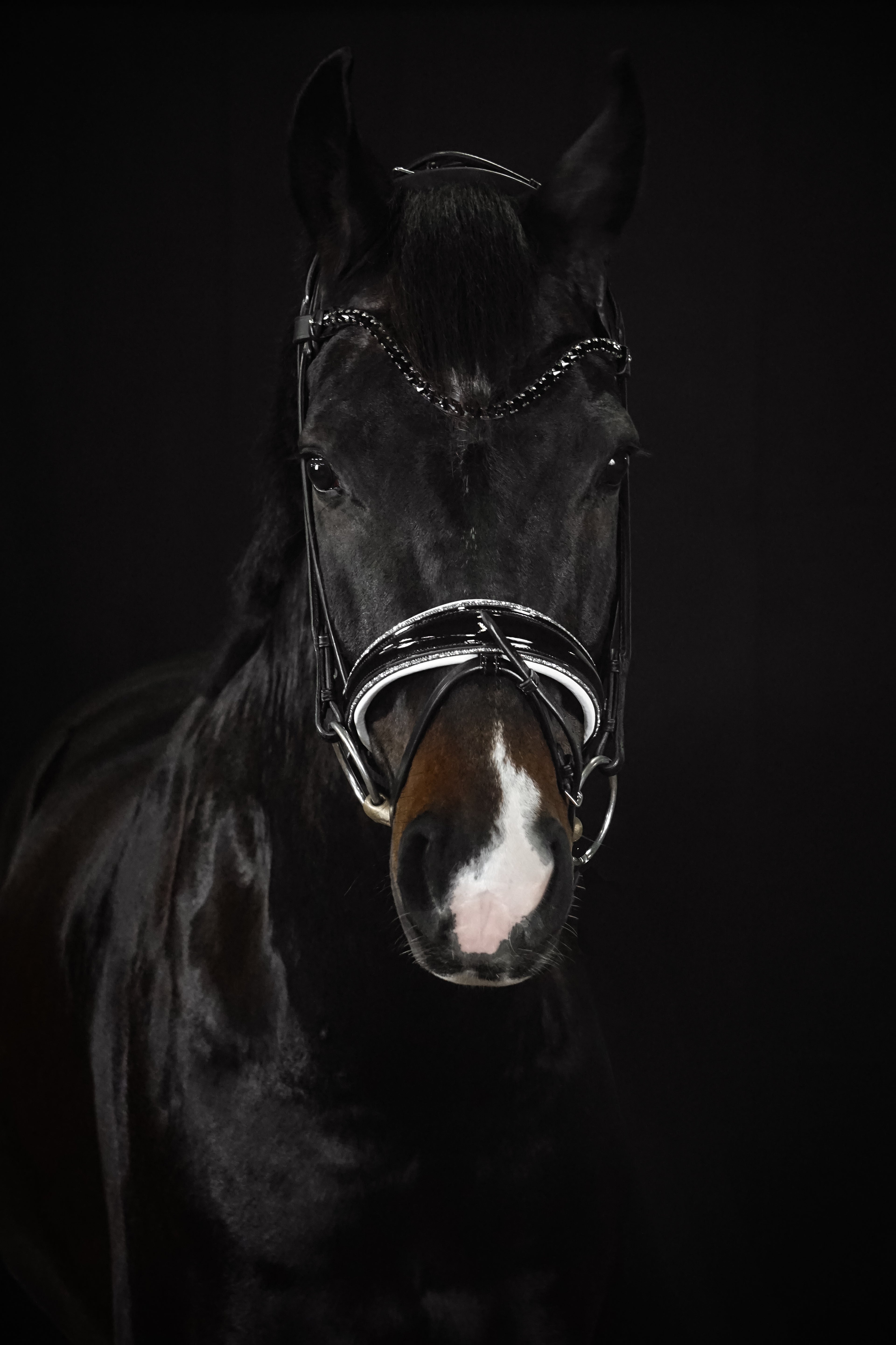 Trense "White Magic"