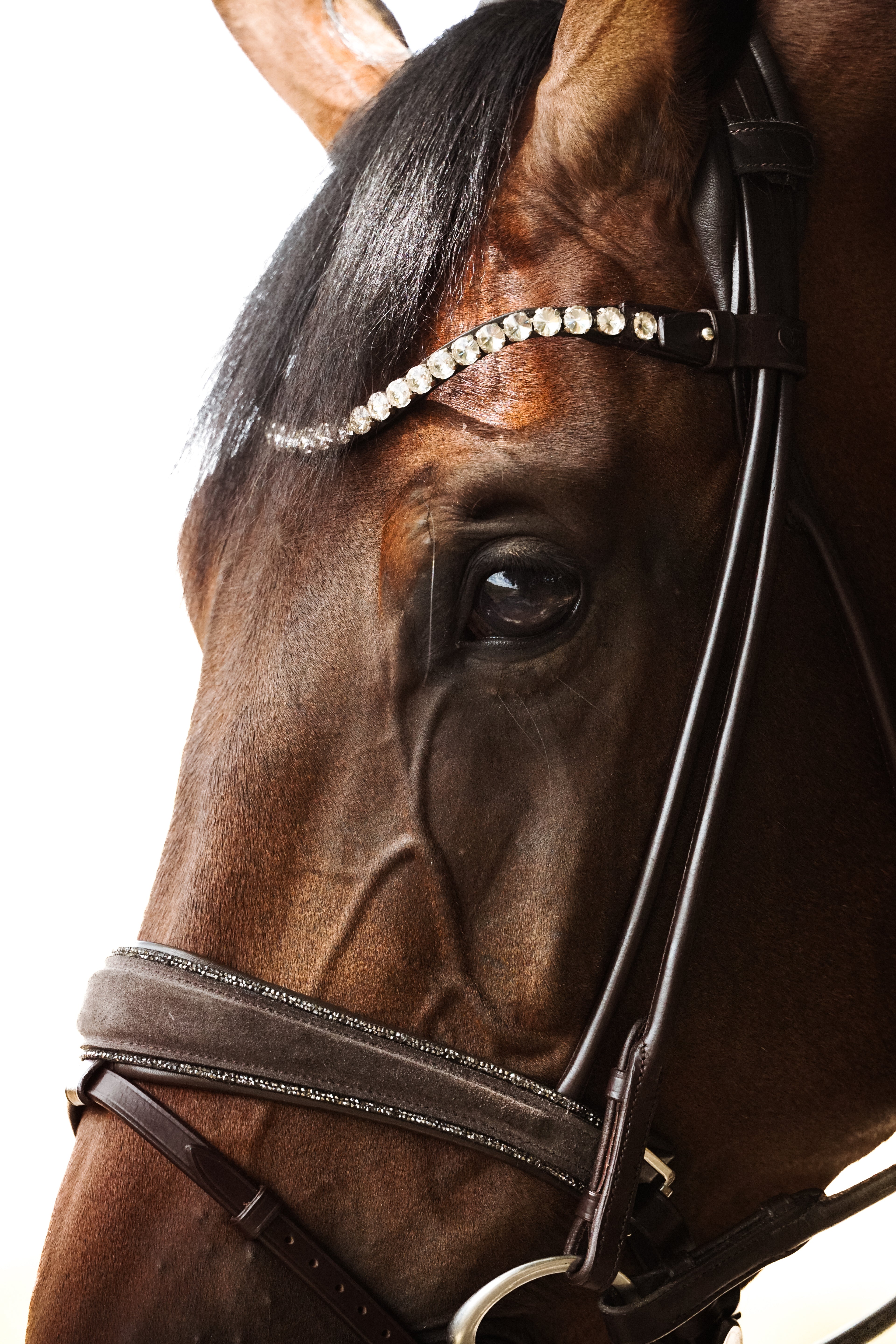 Trense "Brown Suede Magic"