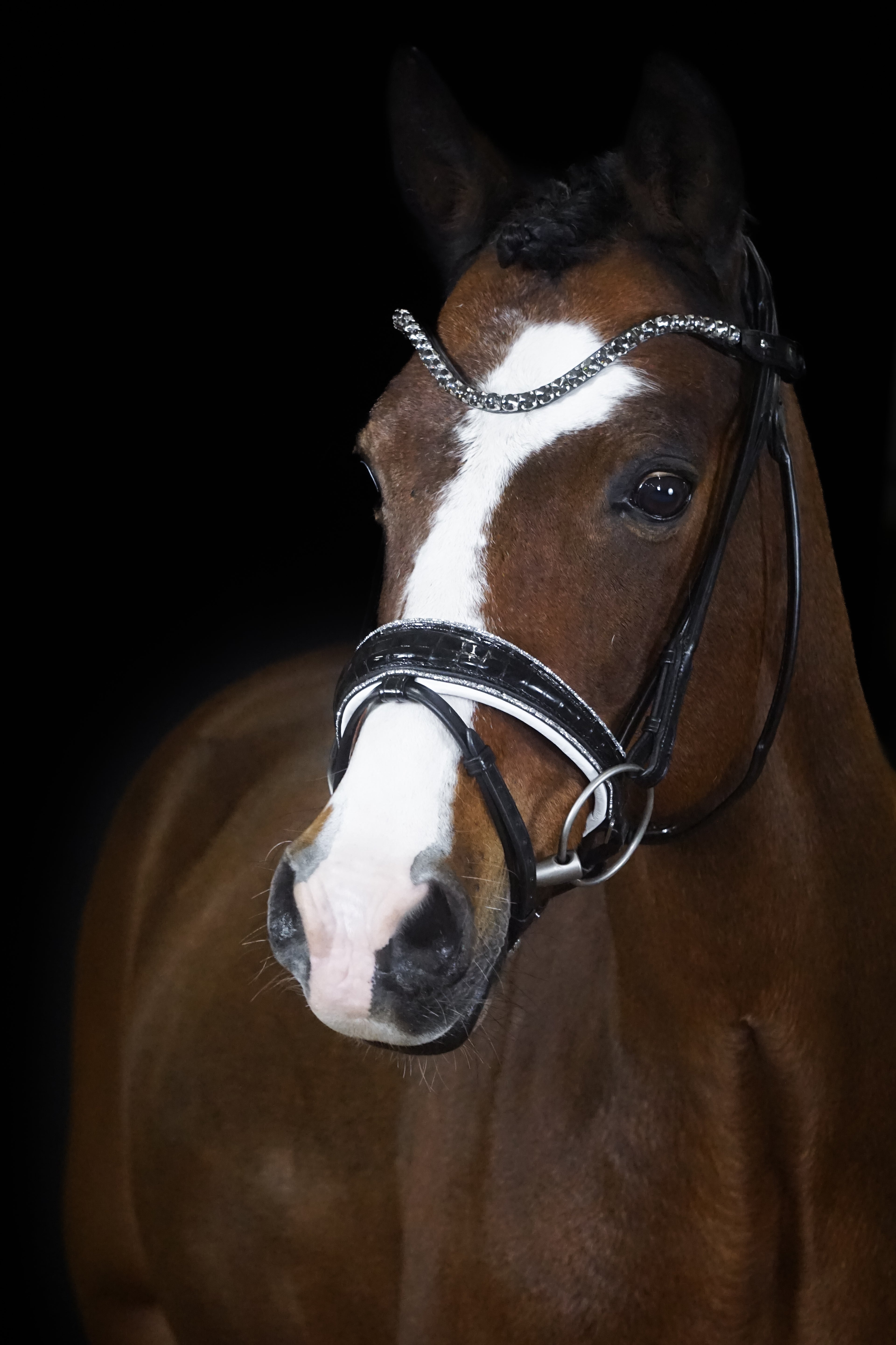 Trense "White Croco"