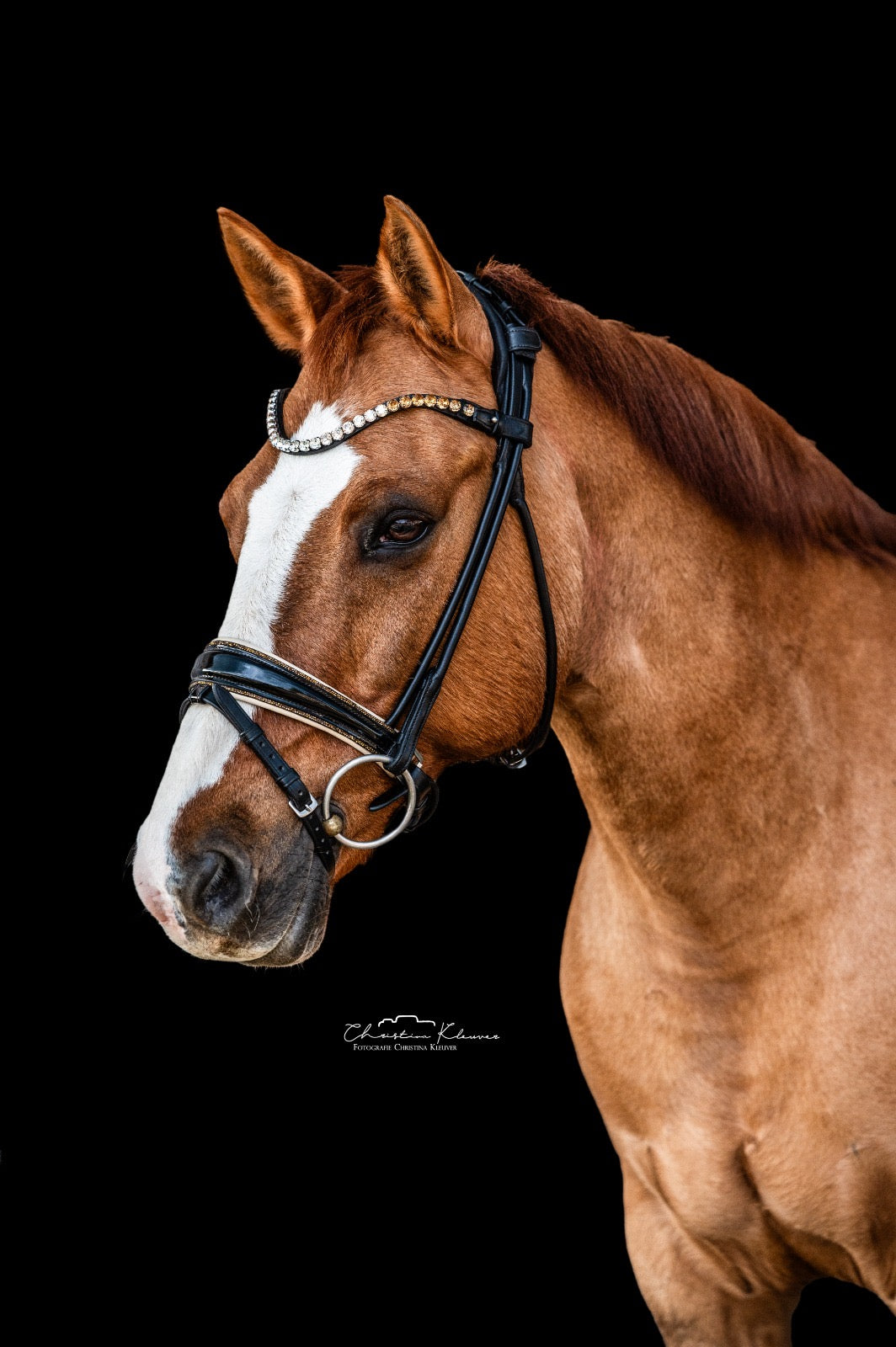 Trense "Cream Magic"