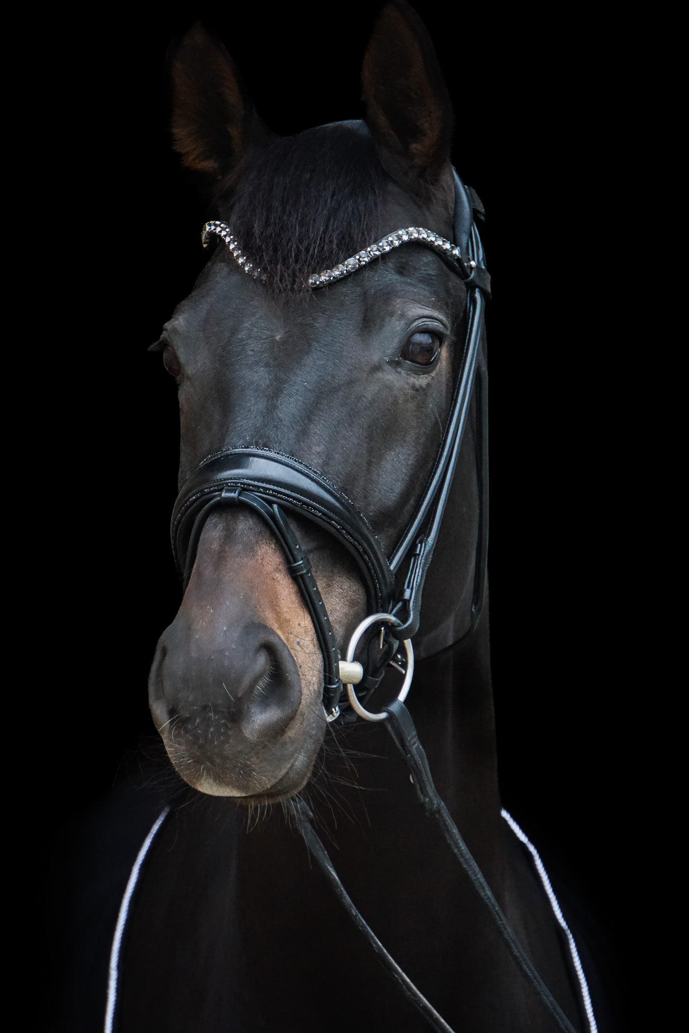 Trense "Black Diamond"