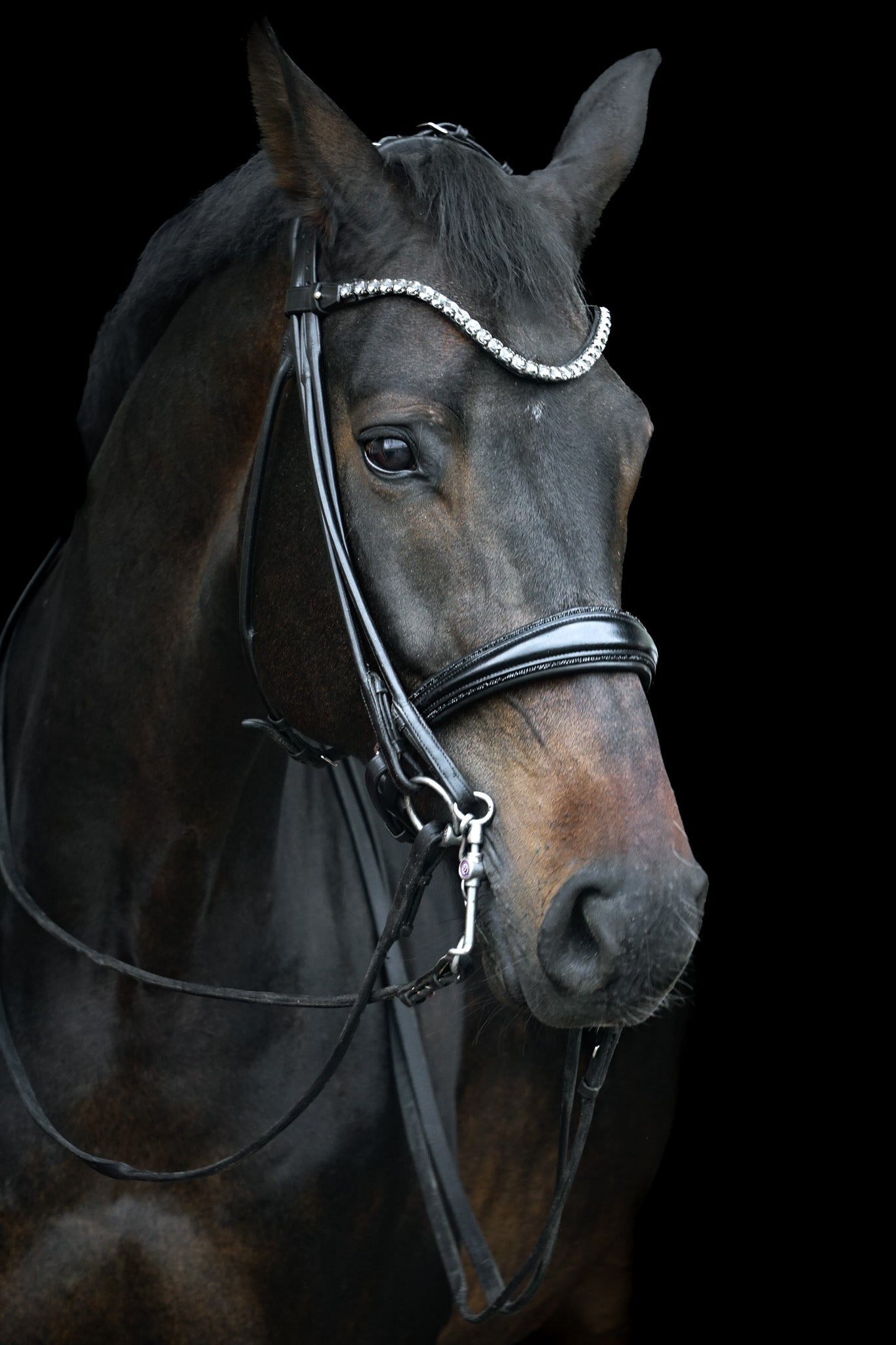 Kandare "Black Diamond"