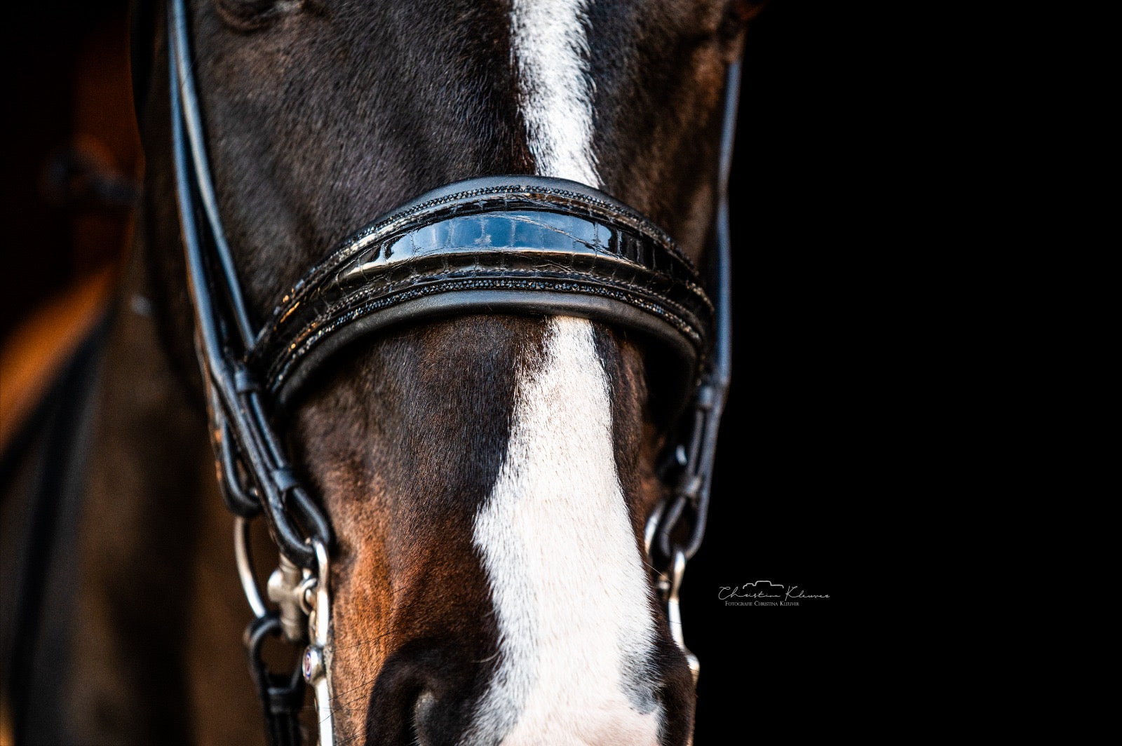 Pflege von Crystals am Nasenriemen