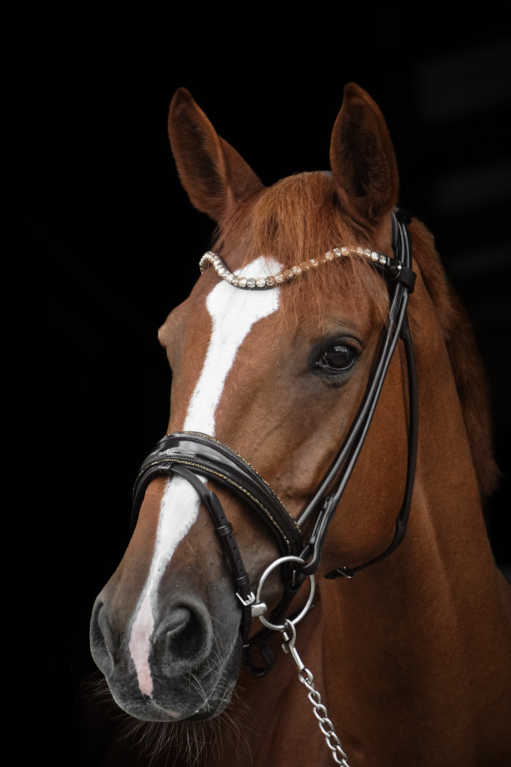 Trense "Brown Magic"