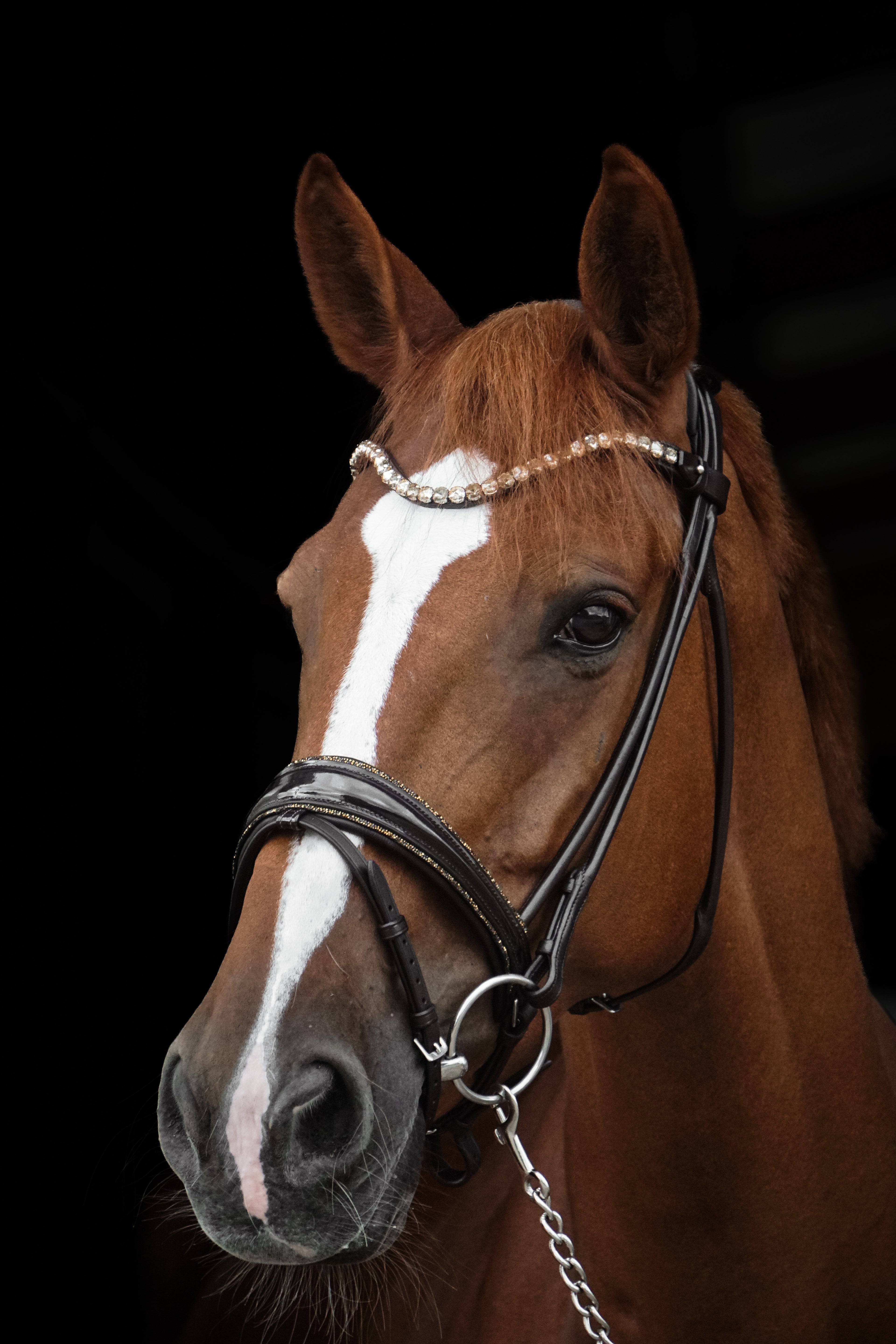 Trense "Brown Magic"