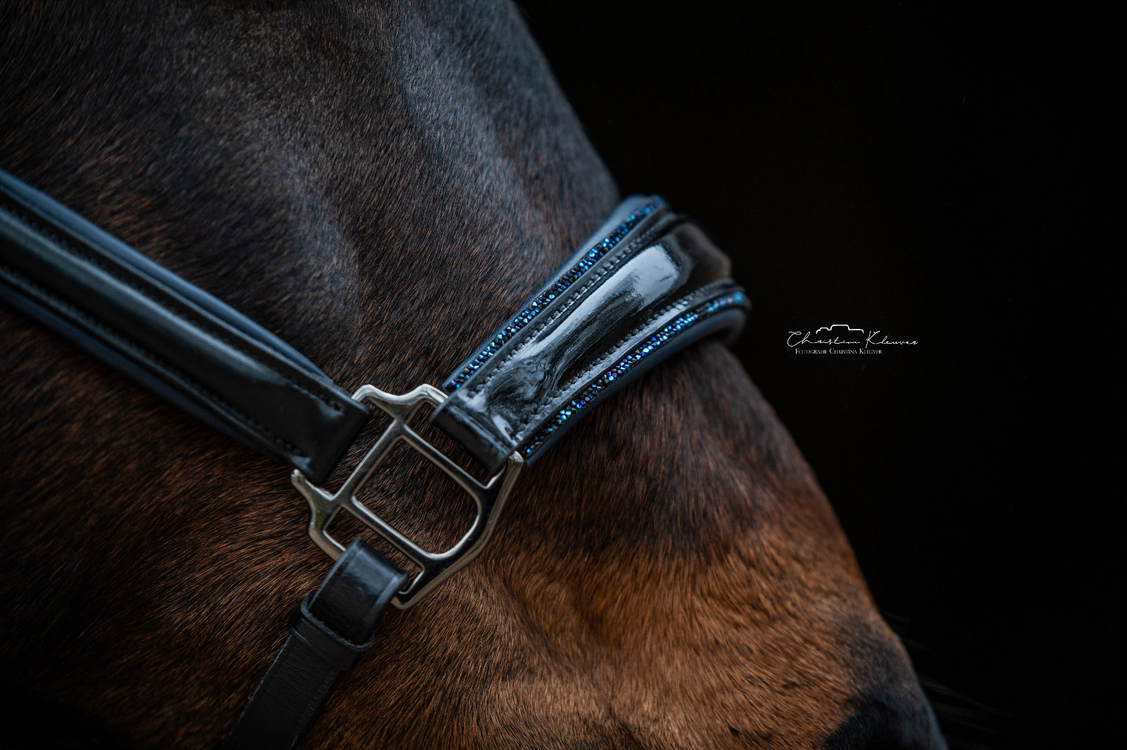 Lederhalfter "Blue Magic"