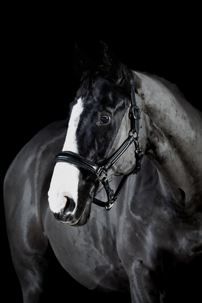 Lederhalfter "Black Diamond"