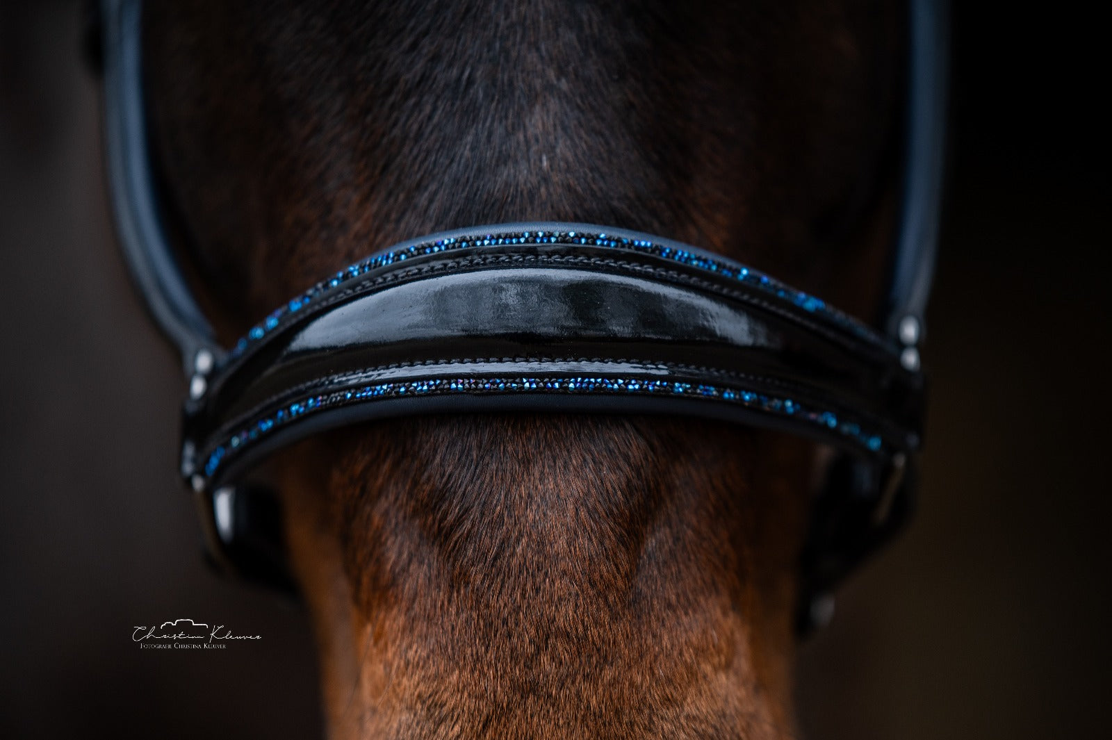 Lederhalfter "Blue Magic"