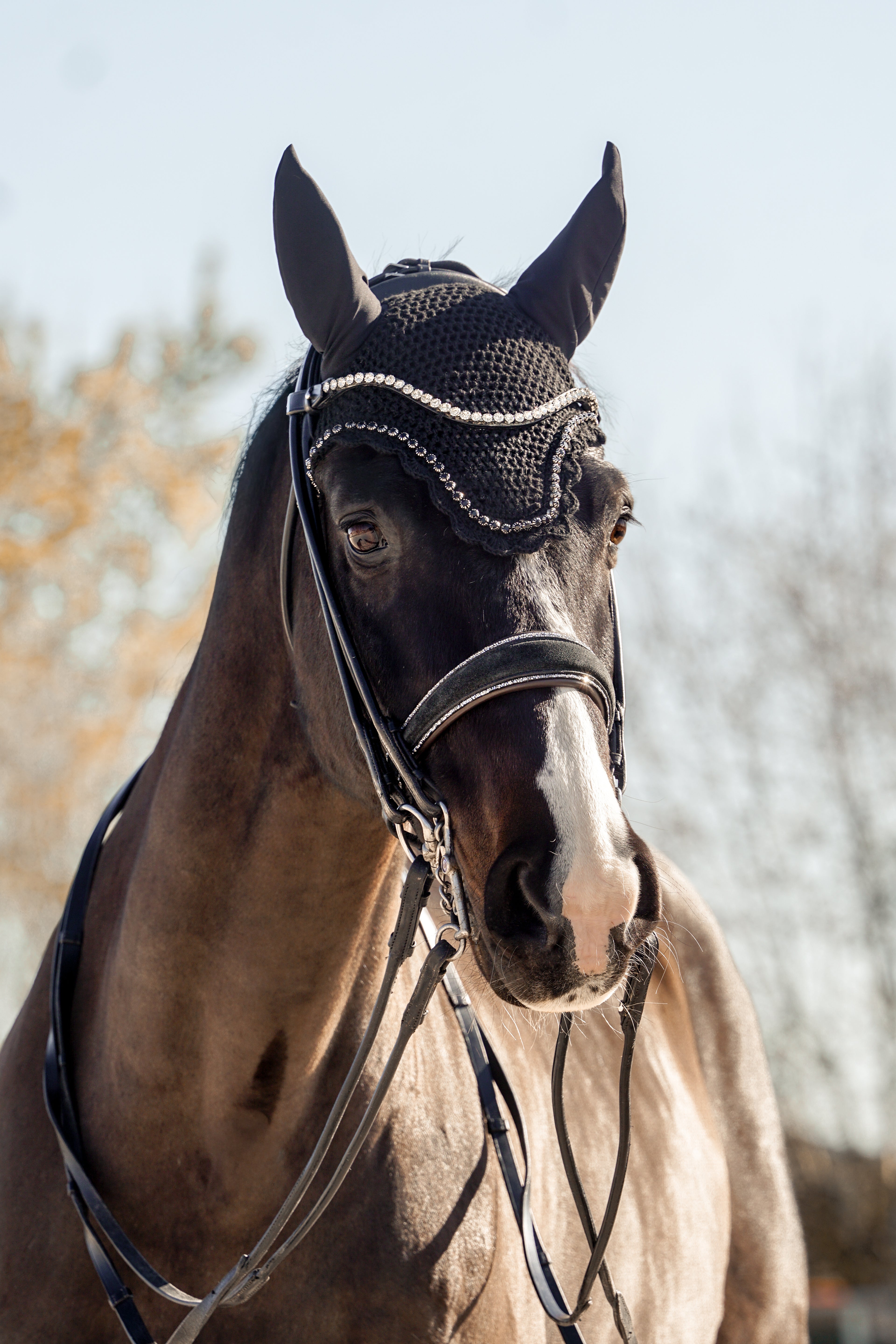 Fliegenhaube "Diamond"