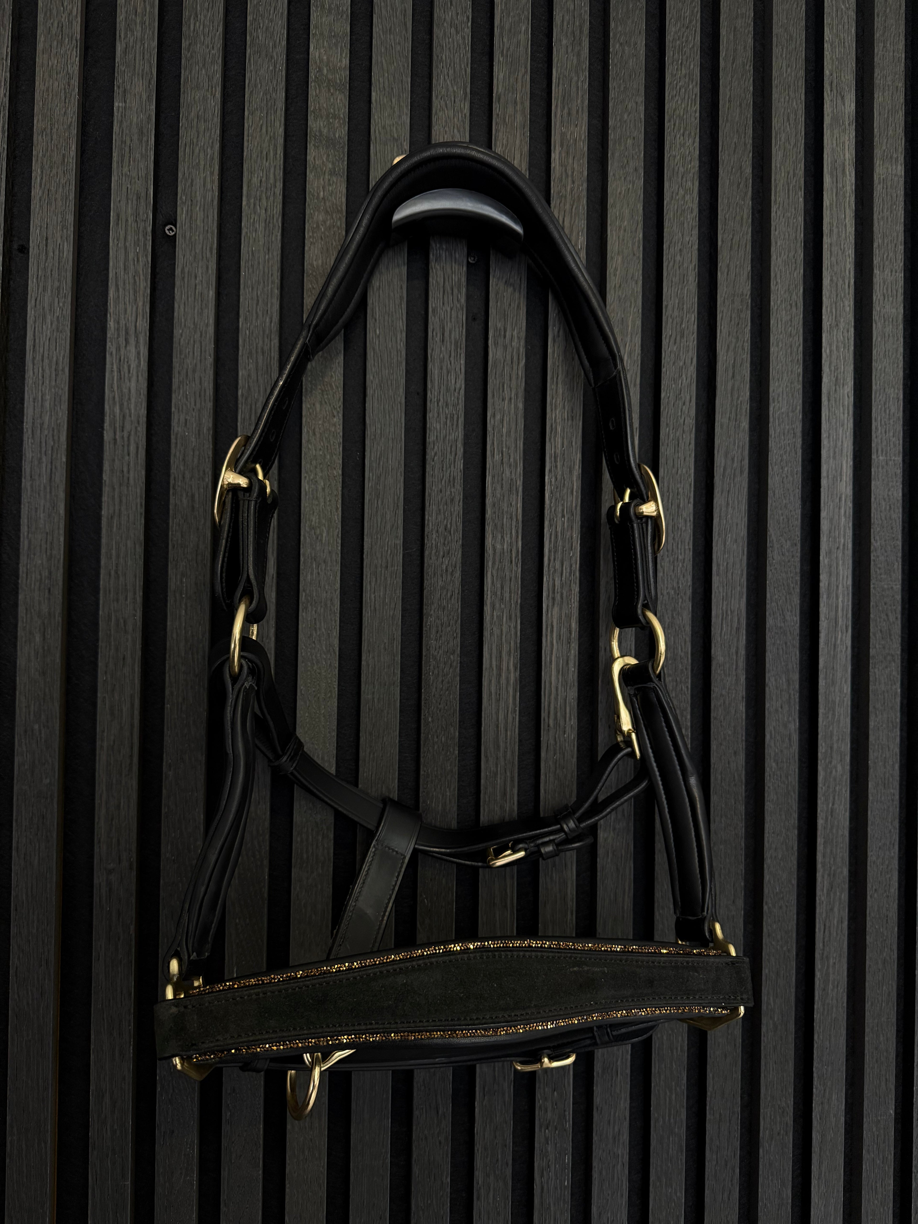 Lederhalfter "Black & Gold Suede Magic" | Limited Edition