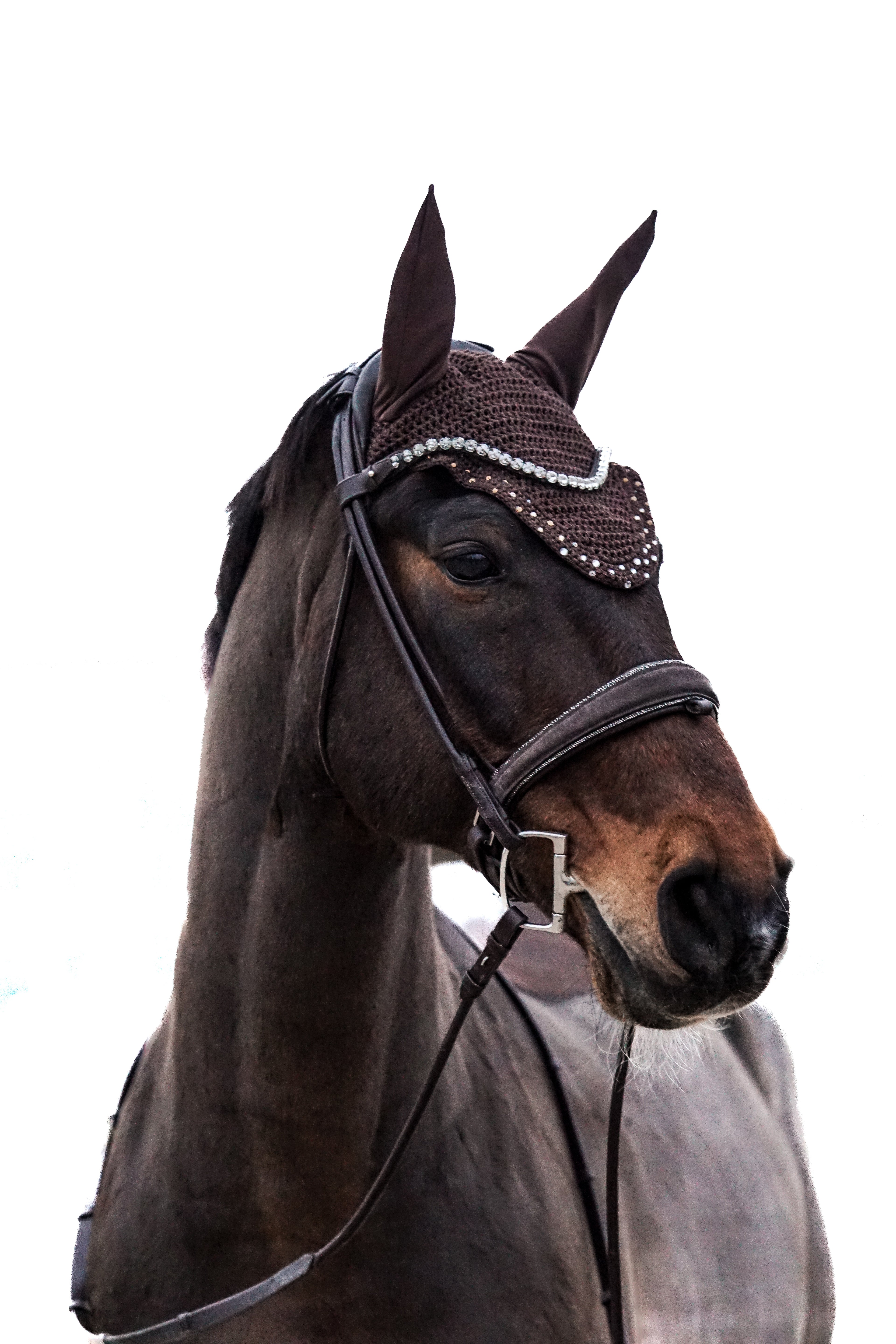 Fliegenmütze Custom