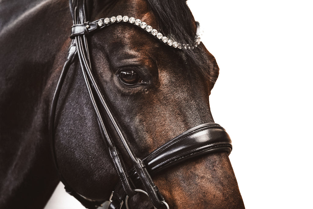 Kandare "Black Diamond"