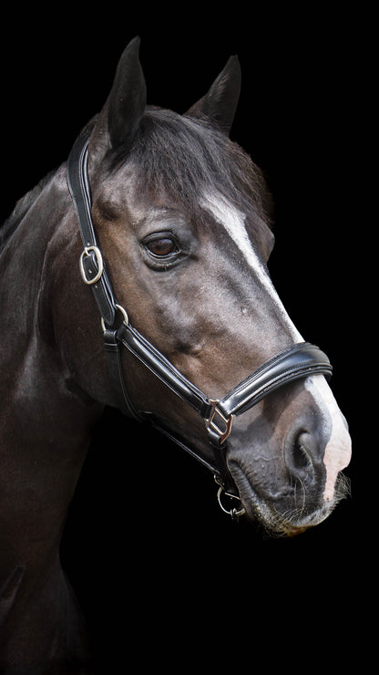 Lederhalfter "Black Diamond"