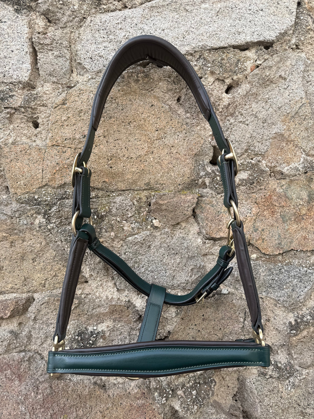 Lederhalfter "Forest Green"