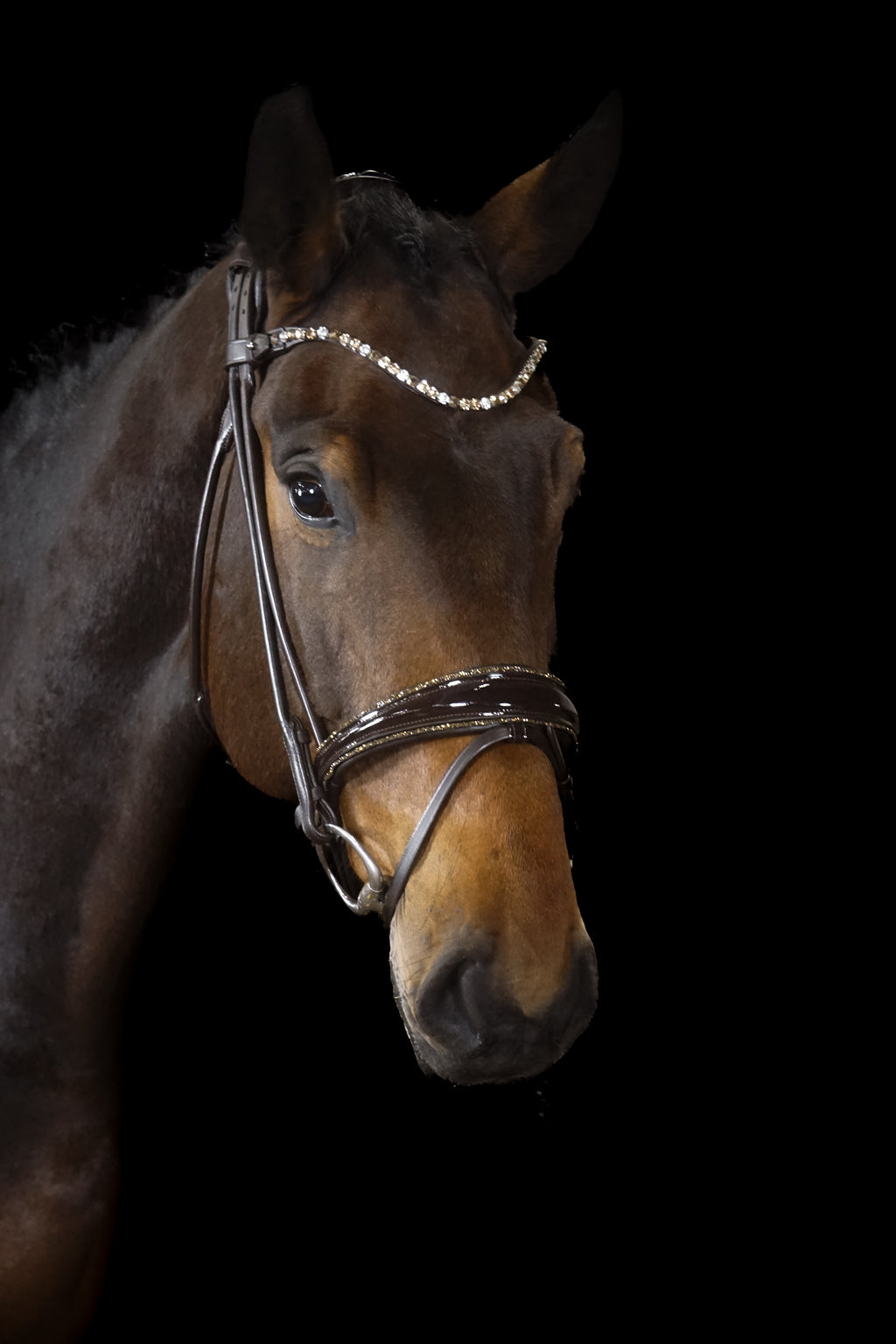 Trense "Brown Magic"