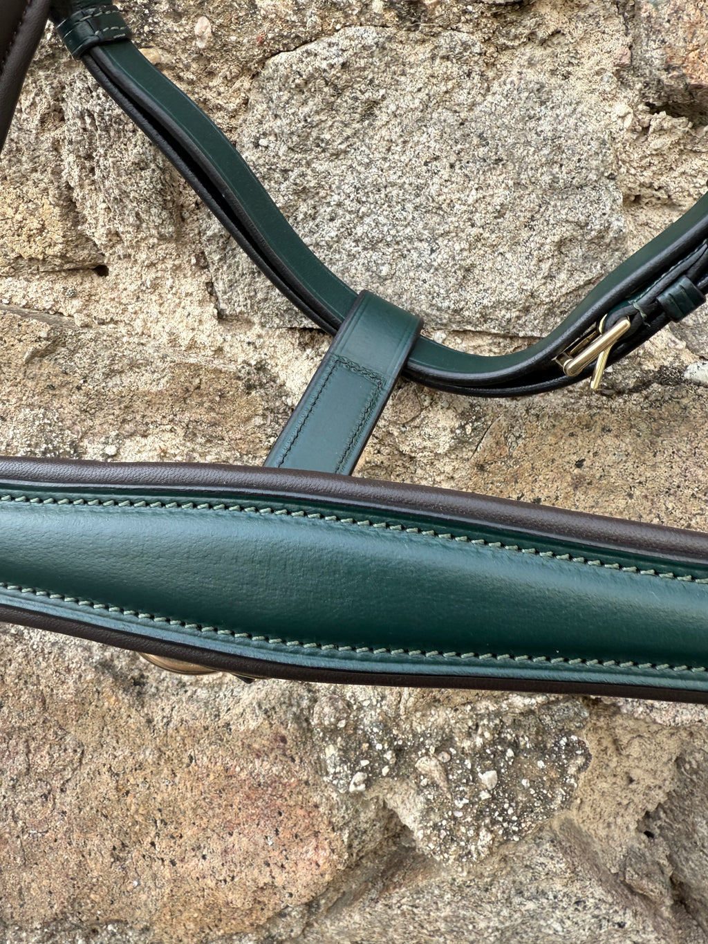 Lederhalfter "Forest Green"