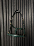 Lederhalfter "Forest Green" | Limited Edition