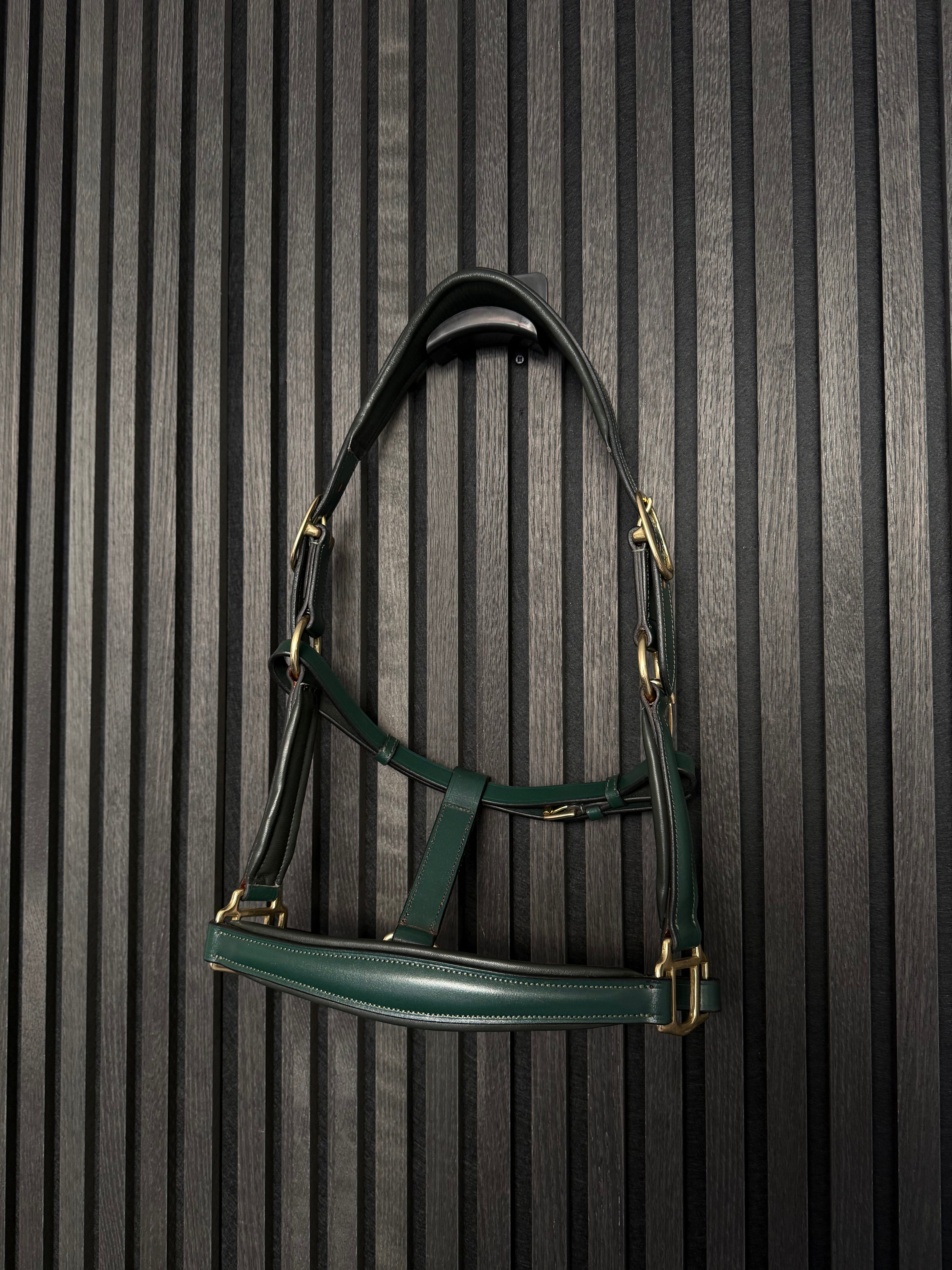 Lederhalfter "Forest Green" | Limited Edition
