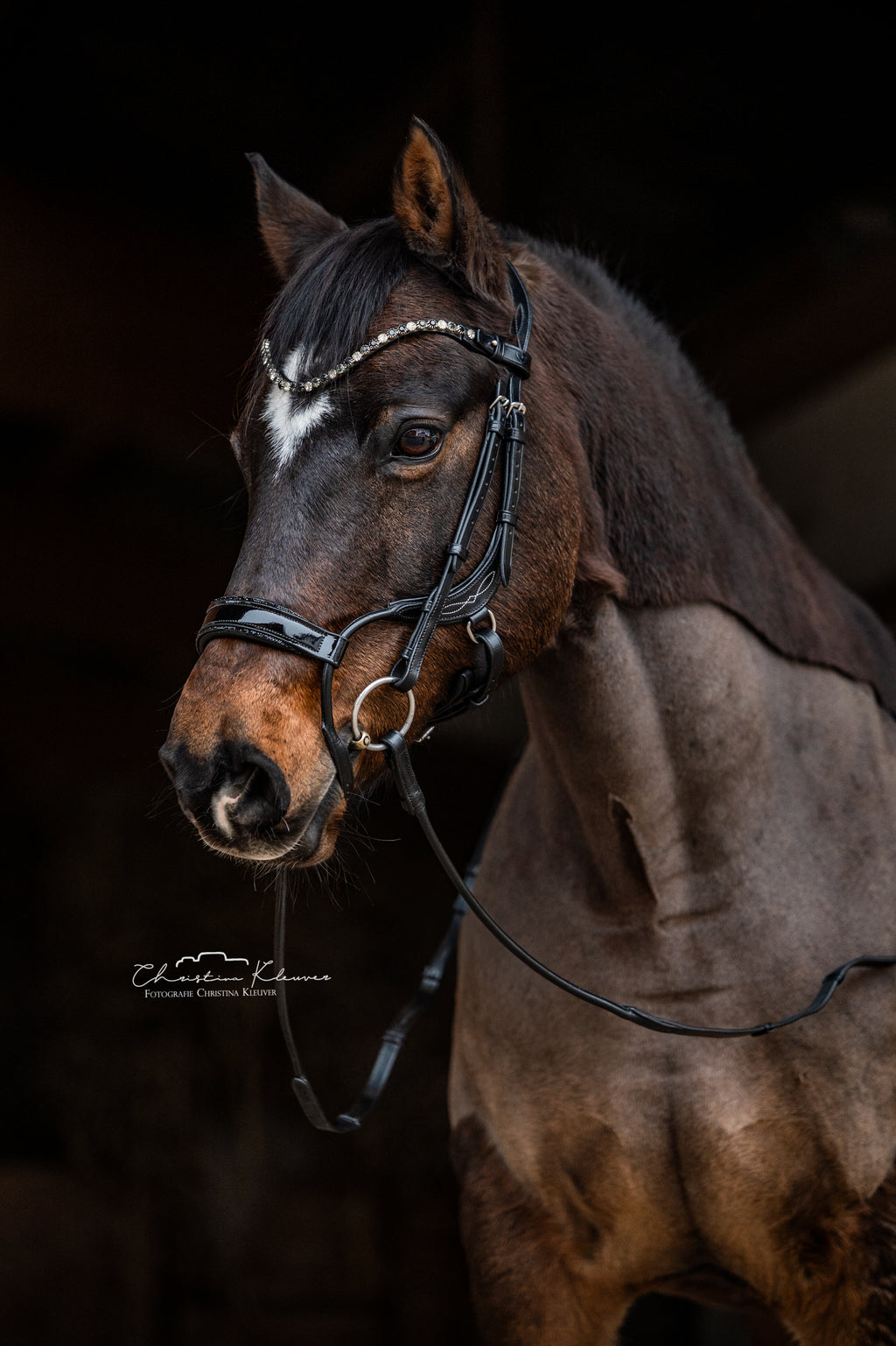 Trense "Jumper - Black Magic"