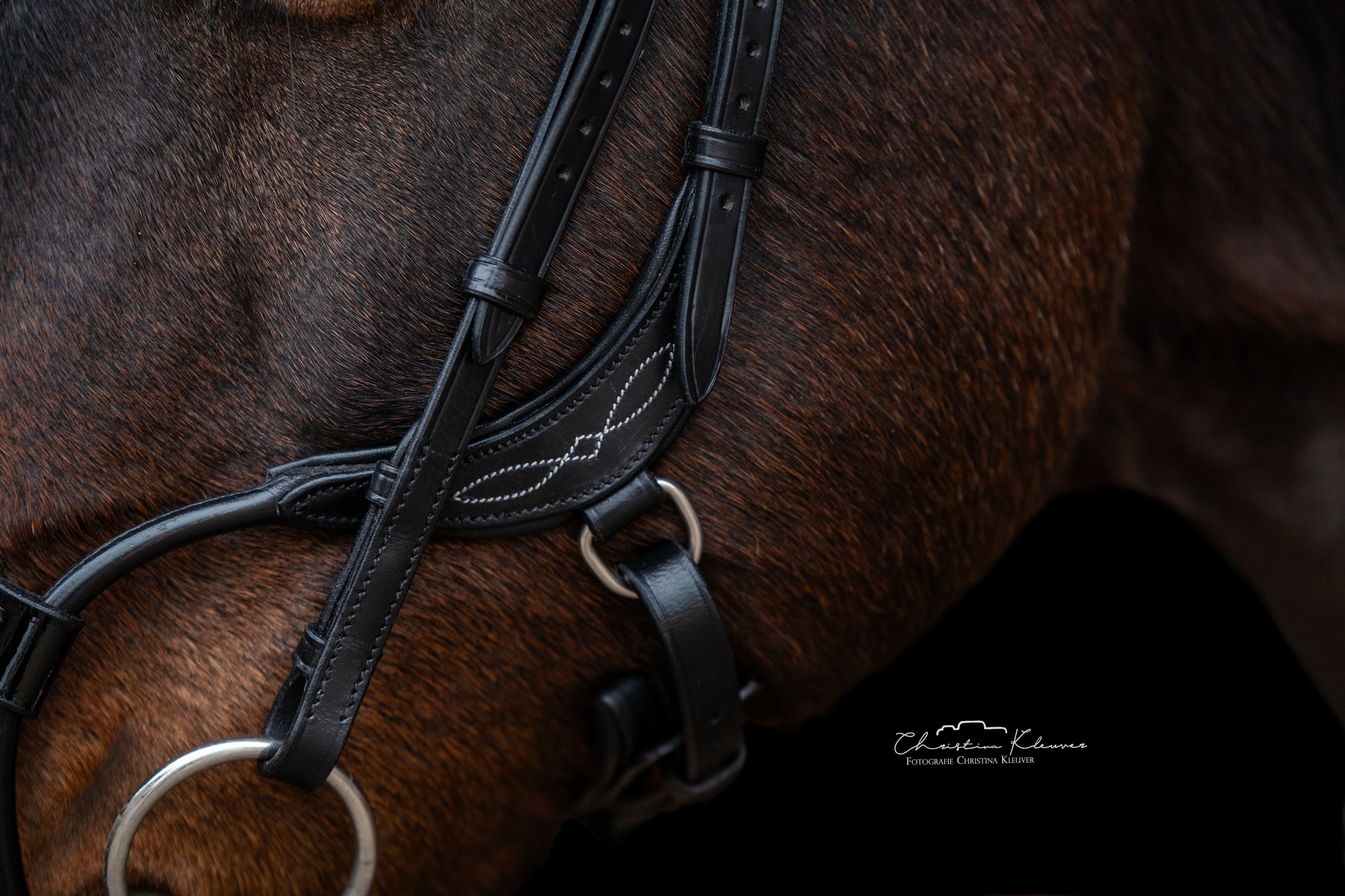 Trense "Jumper - Black Magic"