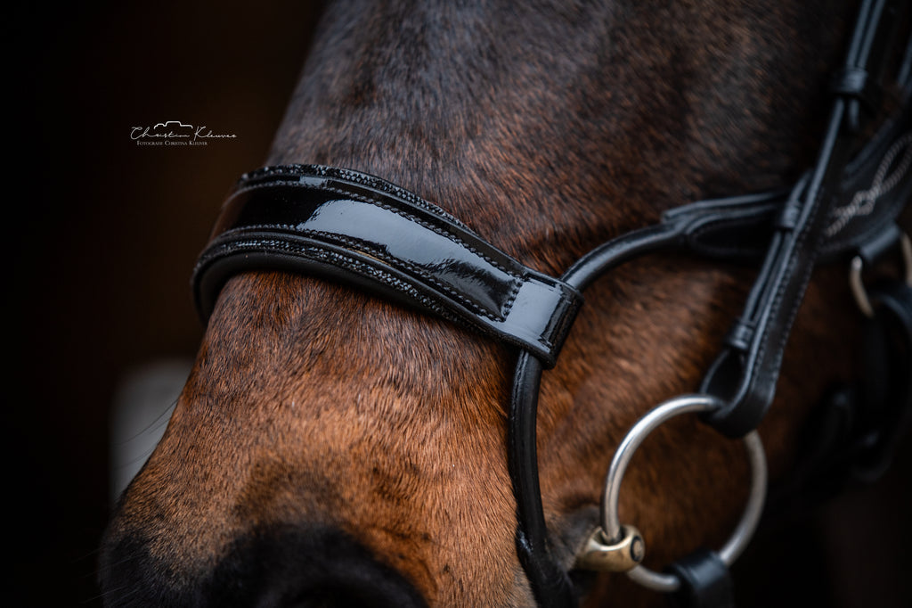 Trense "Jumper - Black Magic"