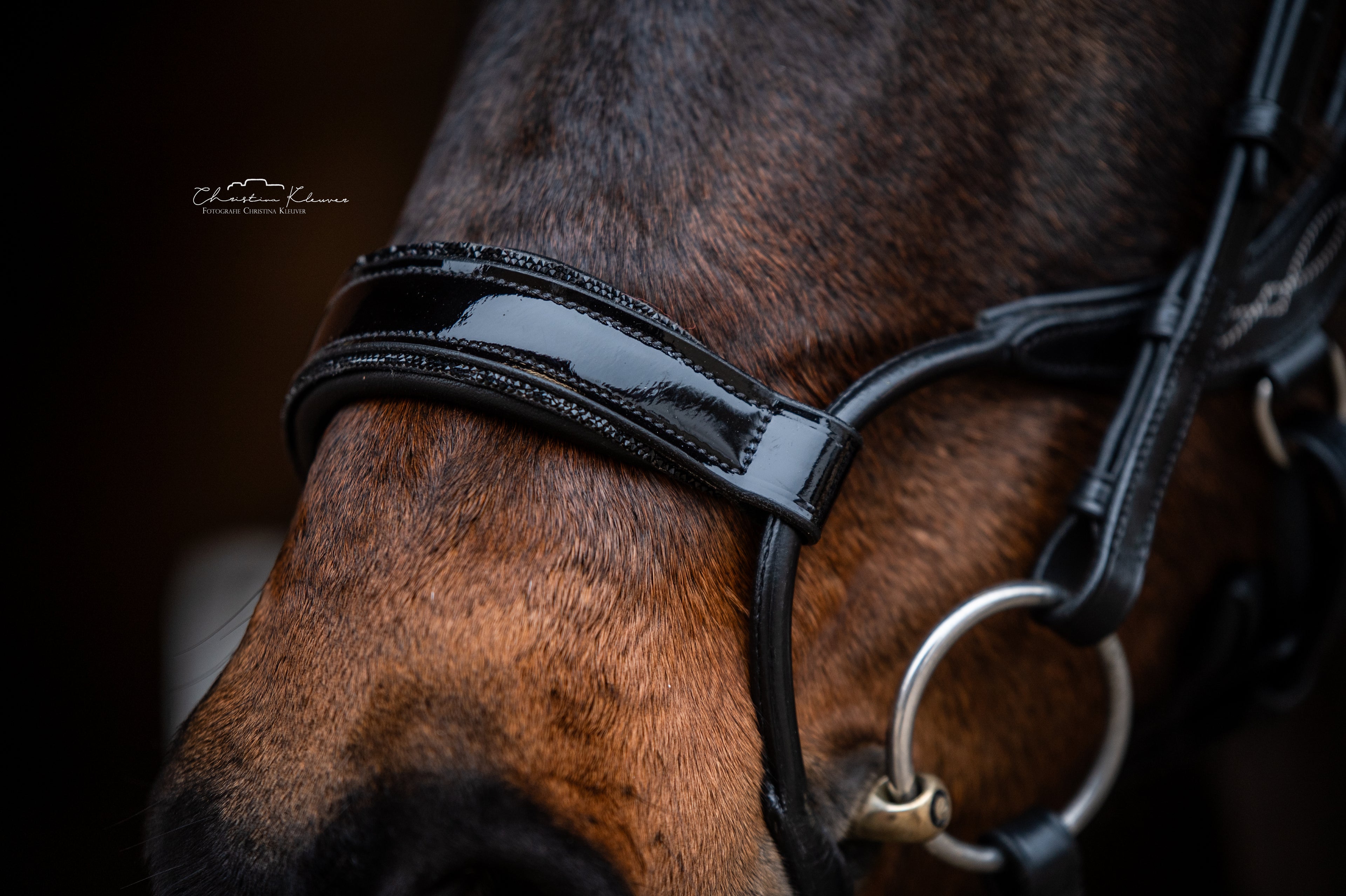 Trense "Jumper - Black Magic"