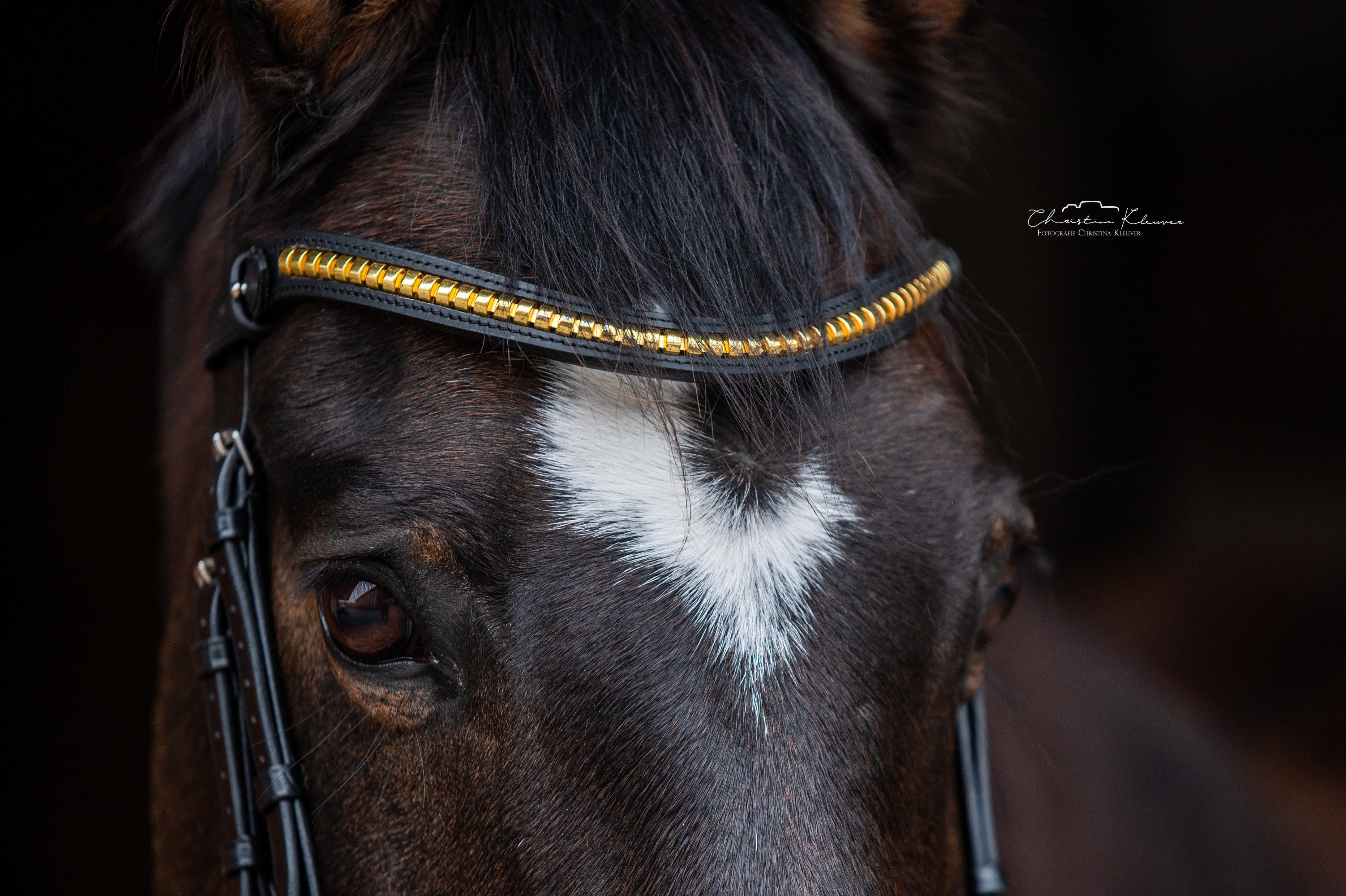 Stirnriemen "Clincher"