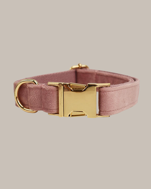 Hundehalsband "Velvet"