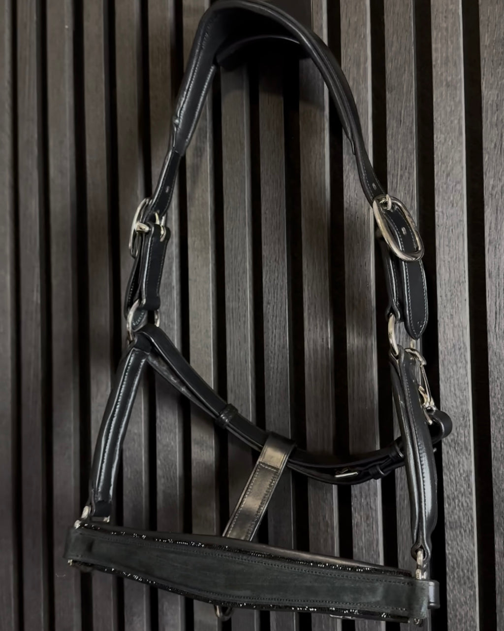 Lederhalfter "Black Suede Magic"